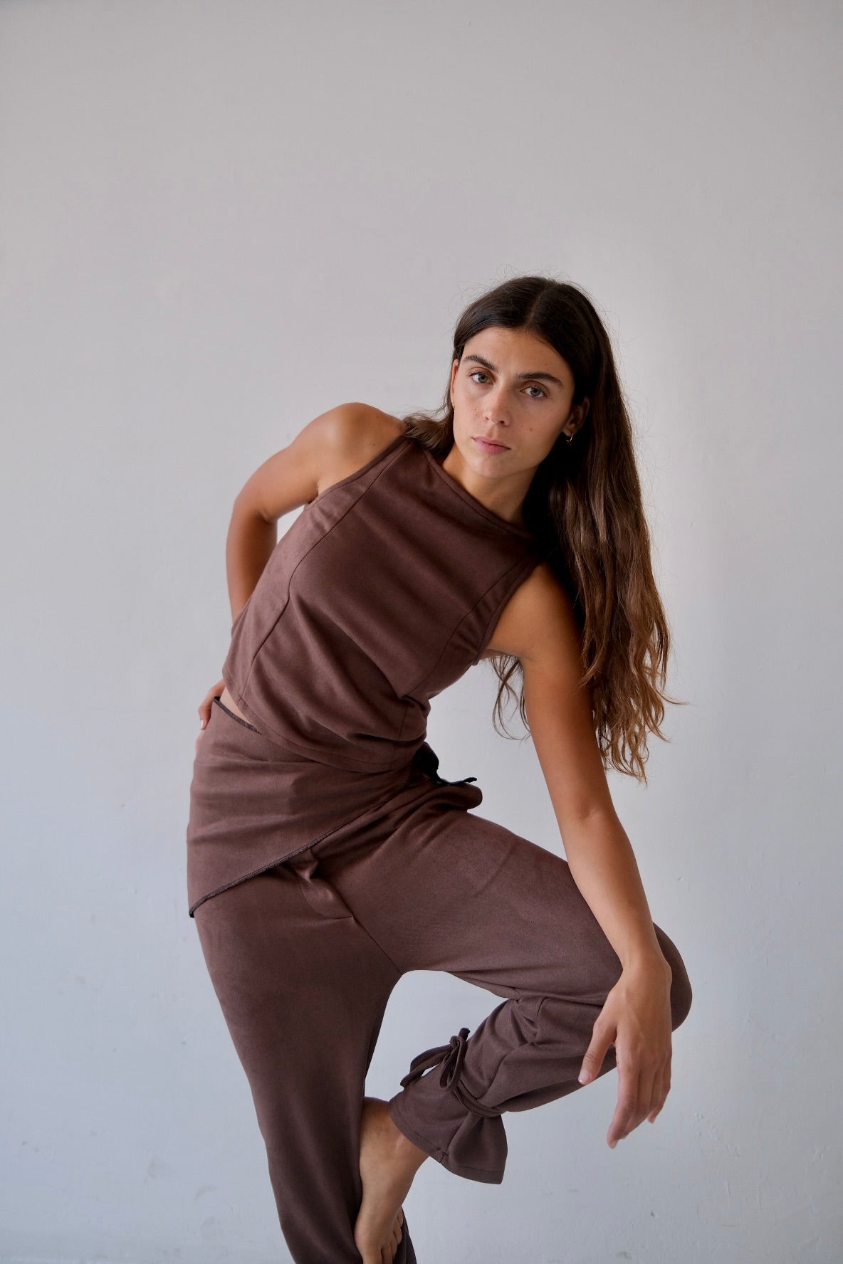 Velvet Brown Top