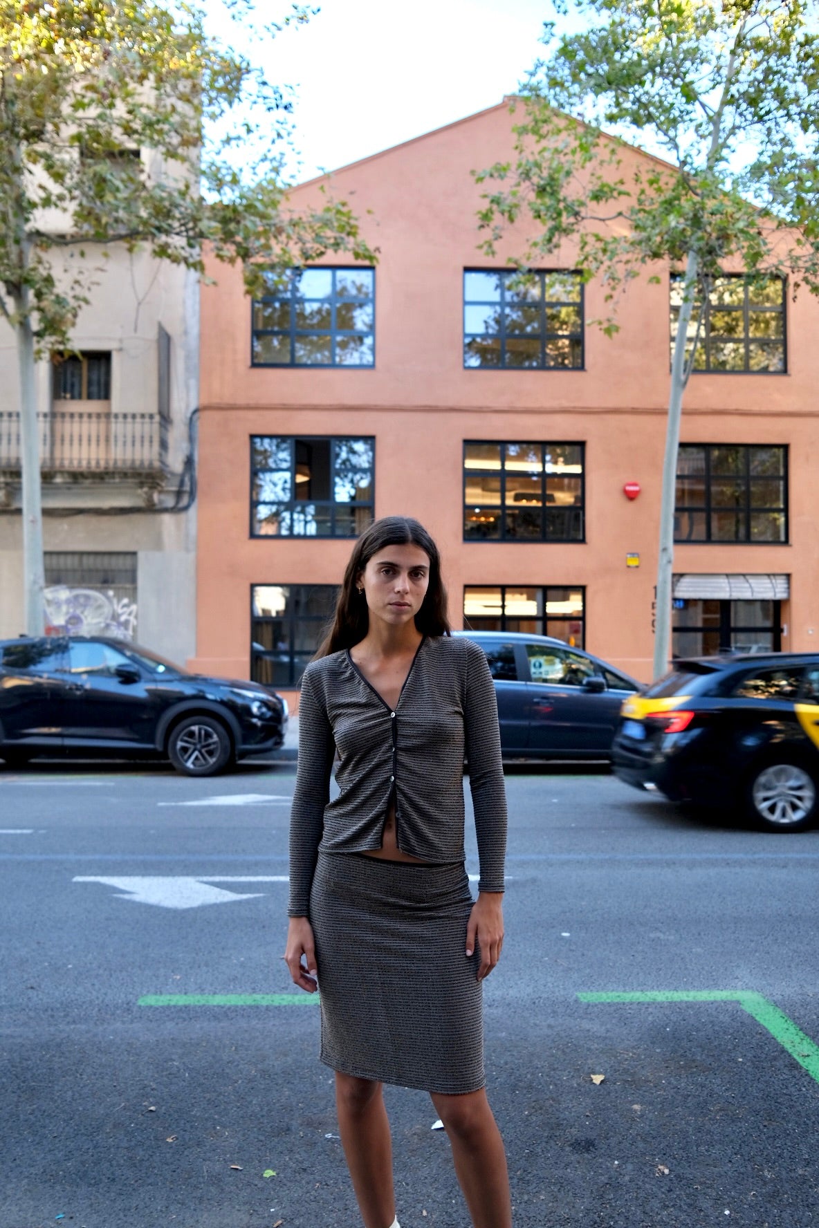 Silver Stripes Skirt